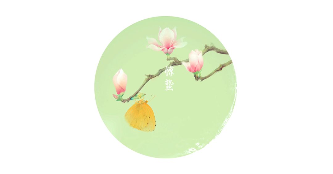 化妆品包装盒展开图详解尺寸_化妆品包装展开_化妆品开窗包装盒